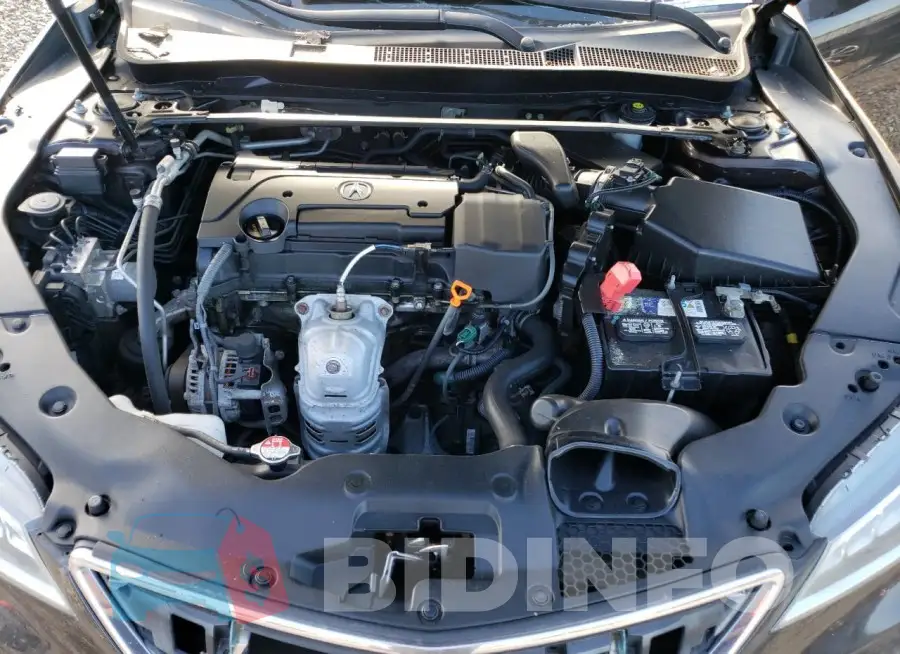 19UUB1F52FA001823 Photo# 11