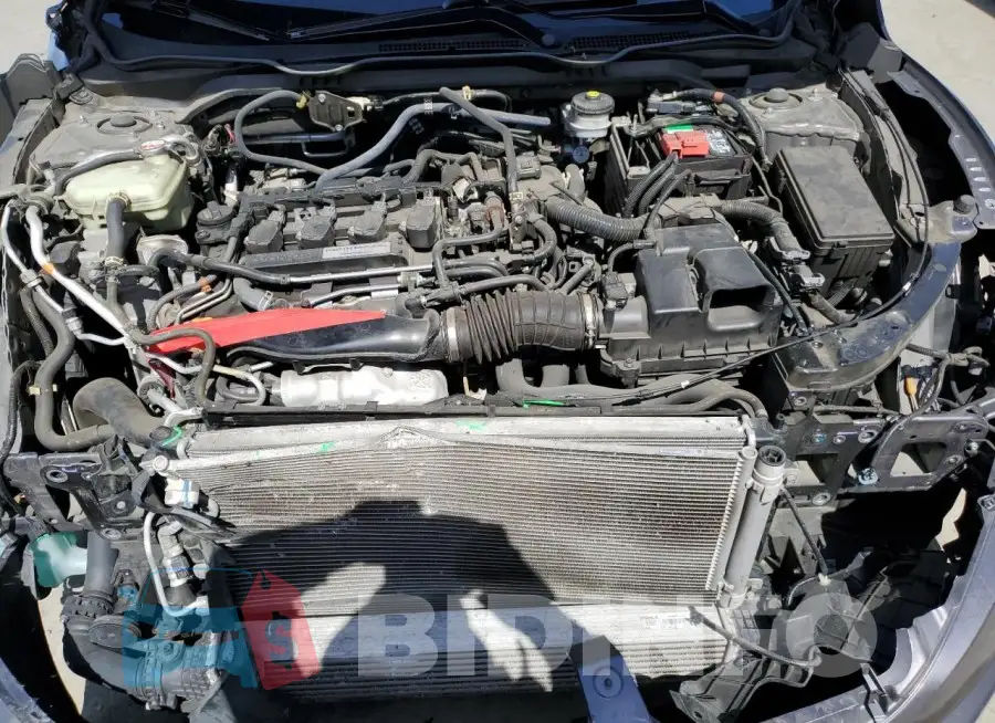 19XFC1F31GE218183 Photo# 11