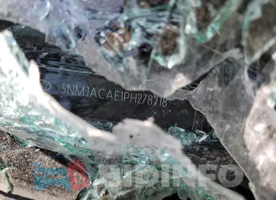 5NMJACAE1PH278218 Photo# 14