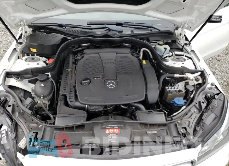 WDDHF8JBXGB225269 Photo# 11