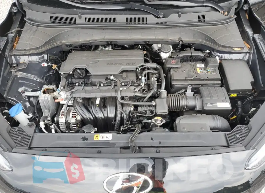 KM8K62AB4PU998042 Photo# 12