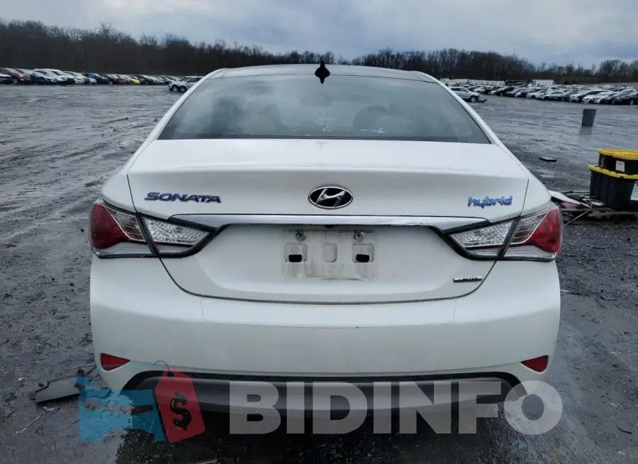 KMHEC4A49FA122442 Photo# 6