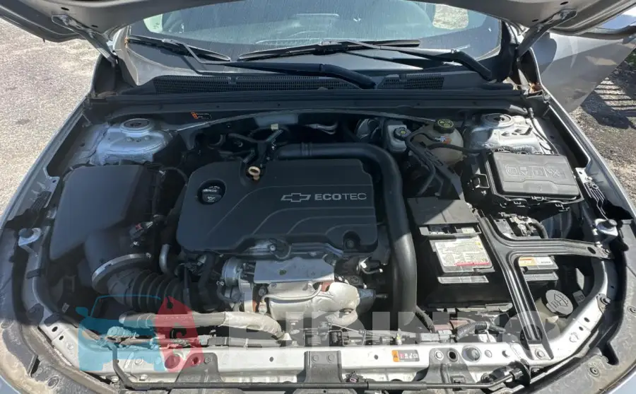 1G1ZD5ST3JF169193 Photo# 7