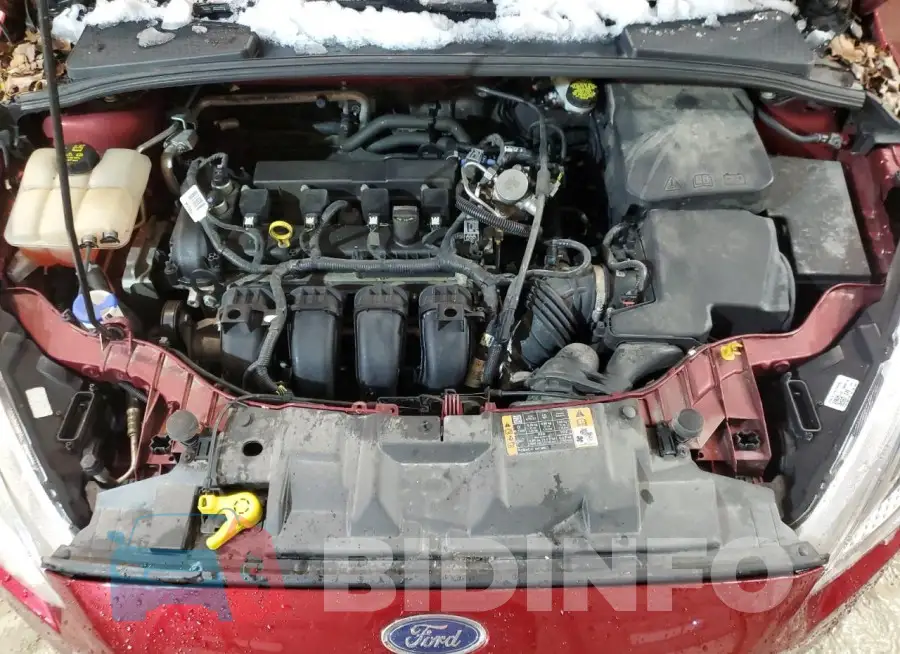 1FADP3F21GL395330 Photo# 11