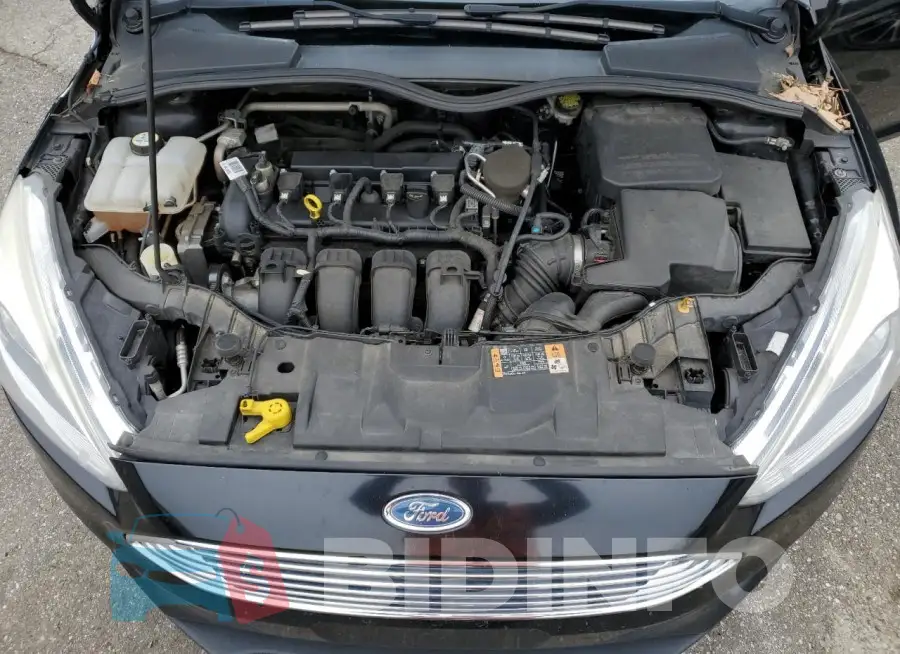 1FADP3N29GL222592 Photo# 11