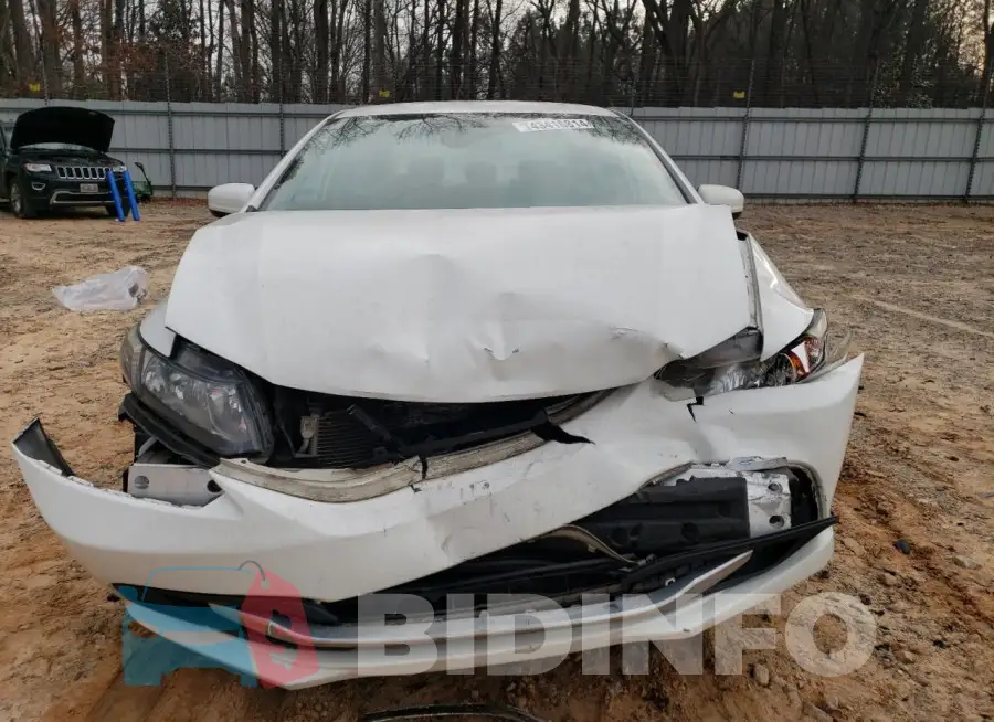 19XFB2F56FE030509 Photo# 5