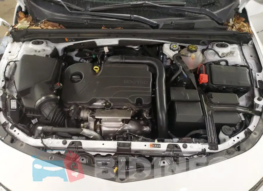1G1ZD5ST5PF160908 Photo# 11