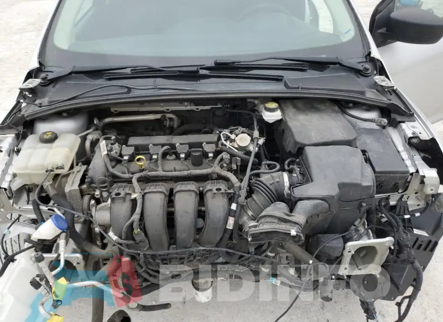 1FADP3E29JL239576 Photo# 11