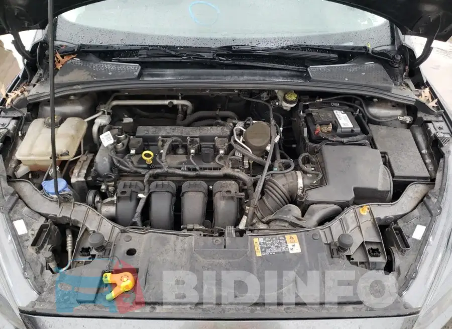 1FADP3F26FL384533 Photo# 11