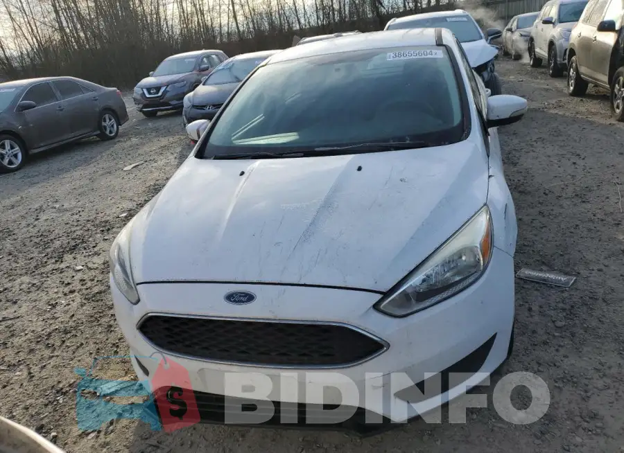 1FADP3F29GL246647 Photo# 5