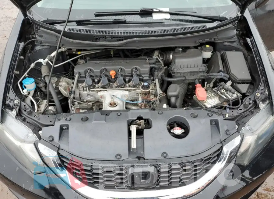 19XFB2F83FE012446 Photo# 11
