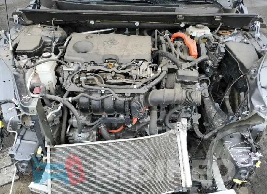 JTMB6RFV1MD511052 Photo# 12