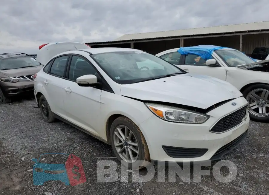 1FADP3F27GL247473 Photo# 4