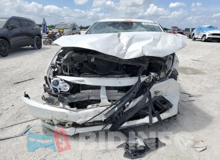 19XFC2F81KE010198 Photo# 5
