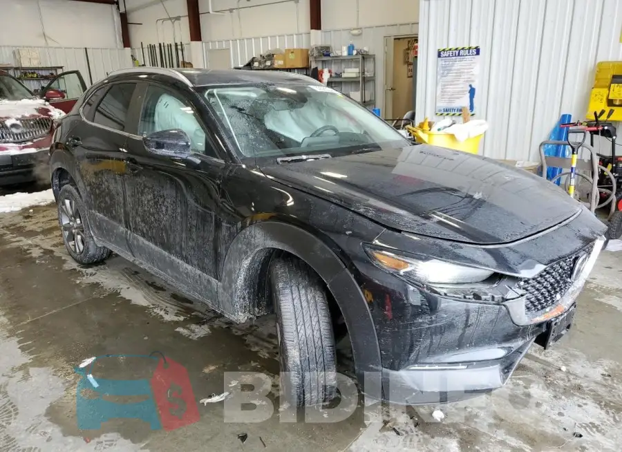 3MVDMBCM3PM539122 Photo# 4