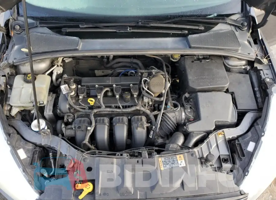 1FADP3E2XFL268091 Photo# 11