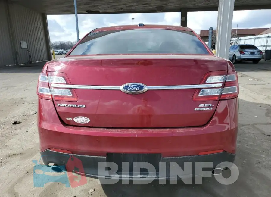 1FAHP2E86GG116254 Photo# 6