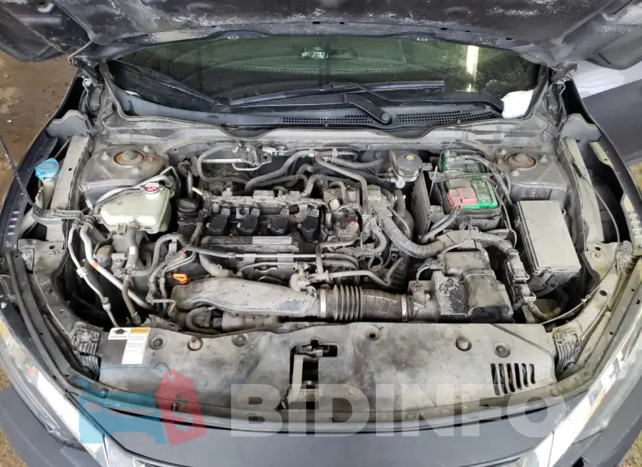19XFC1F98GE008264 Photo# 11