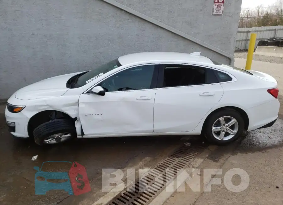 1G1ZD5ST5PF229788 Photo# 1