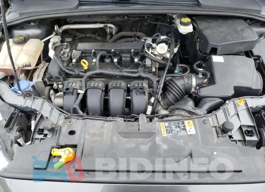 1FADP3F2XHL272028 Photo# 11