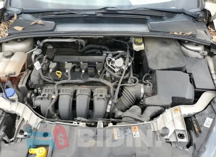 1FADP3H23HL227607 Photo# 11