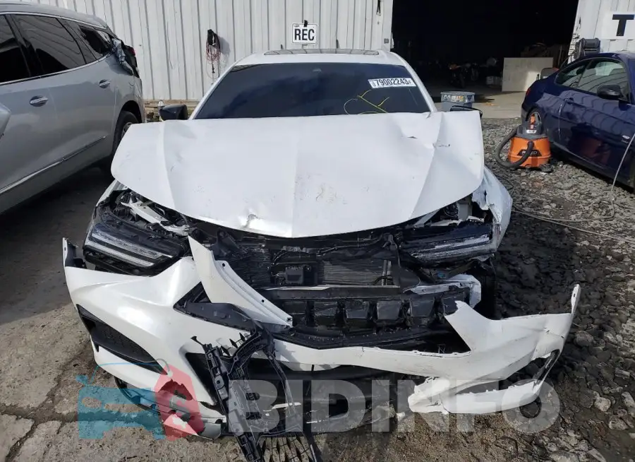 19UUB6F59PA002675 Photo# 5