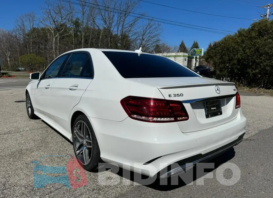 WDDHF8JB3FB125285 Photo# 3