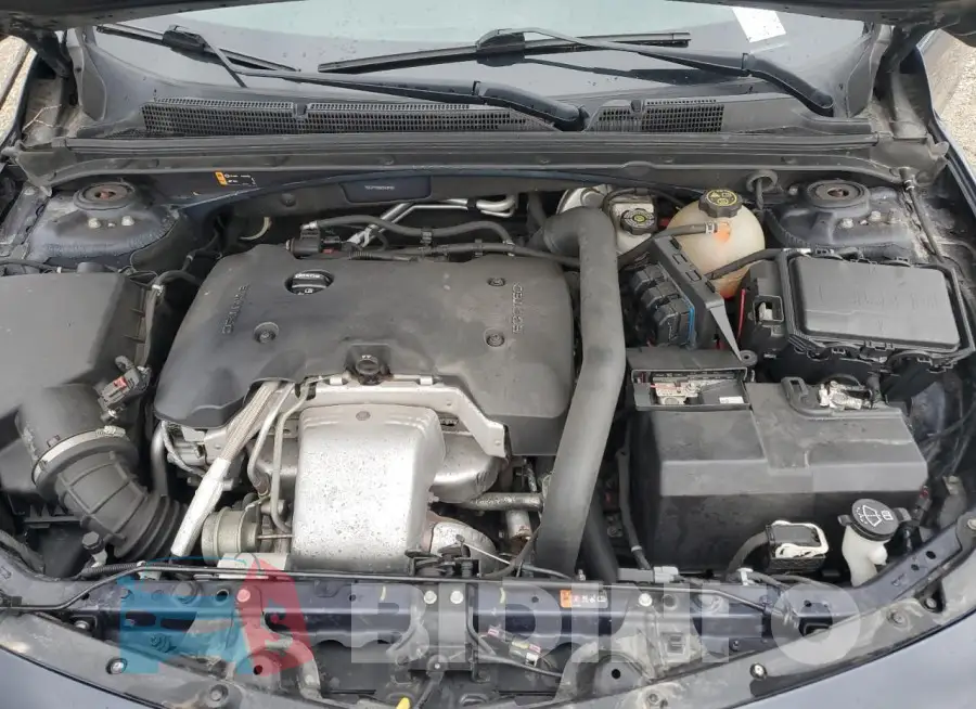 1G1ZF5SX2GF267895 Photo# 11