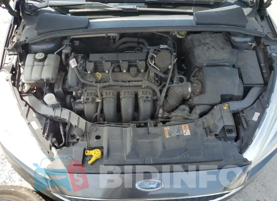 1FADP3F23GL295102 Photo# 11