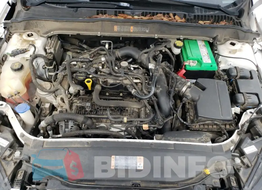 3FA6P0CDXKR224437 Photo# 11