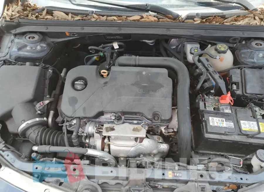 1G1ZD5ST3KF169812 Photo# 11