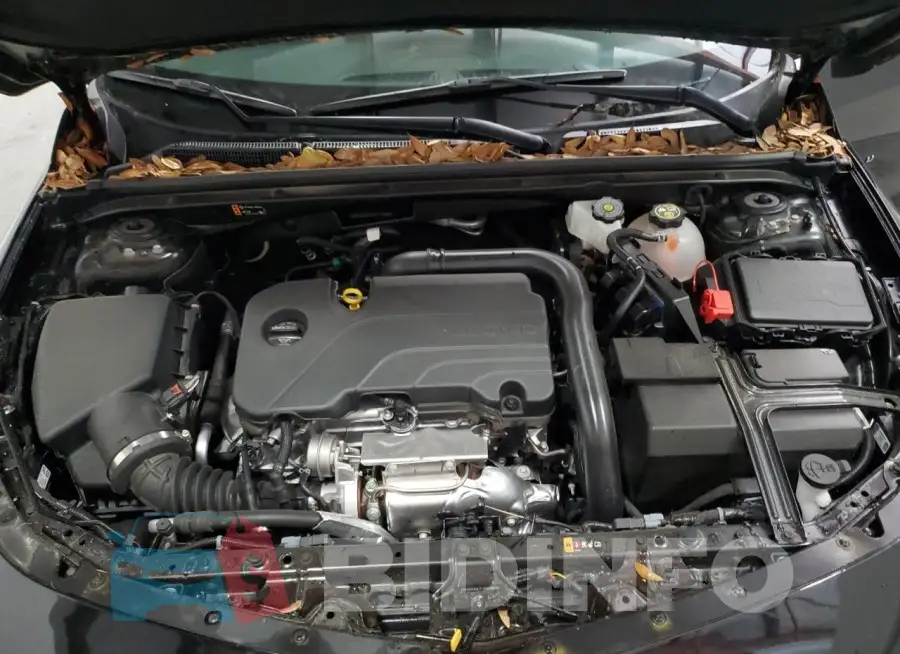 1G1ZD5ST3RF116845 Photo# 11