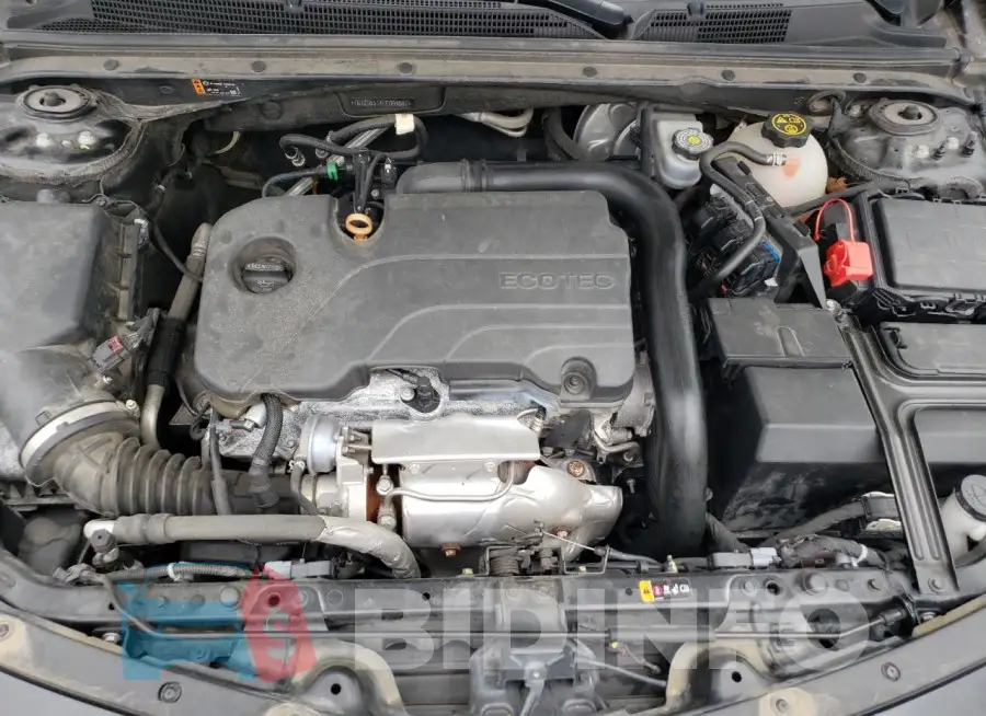 1G1ZD5ST4LF094667 Photo# 11