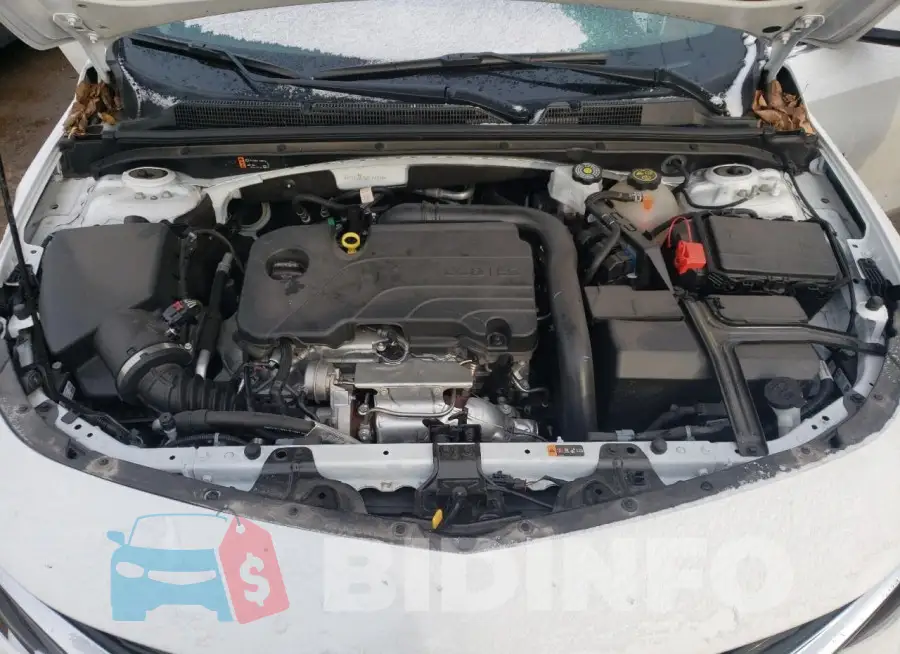 1G1ZG5ST6PF156406 Photo# 11