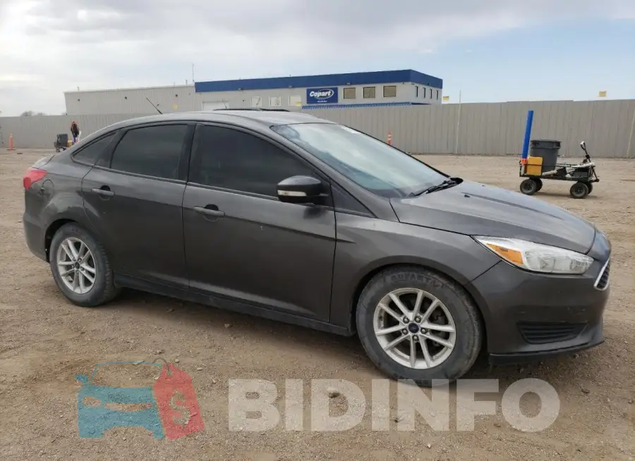 1FADP3F26GL249893 Photo# 4
