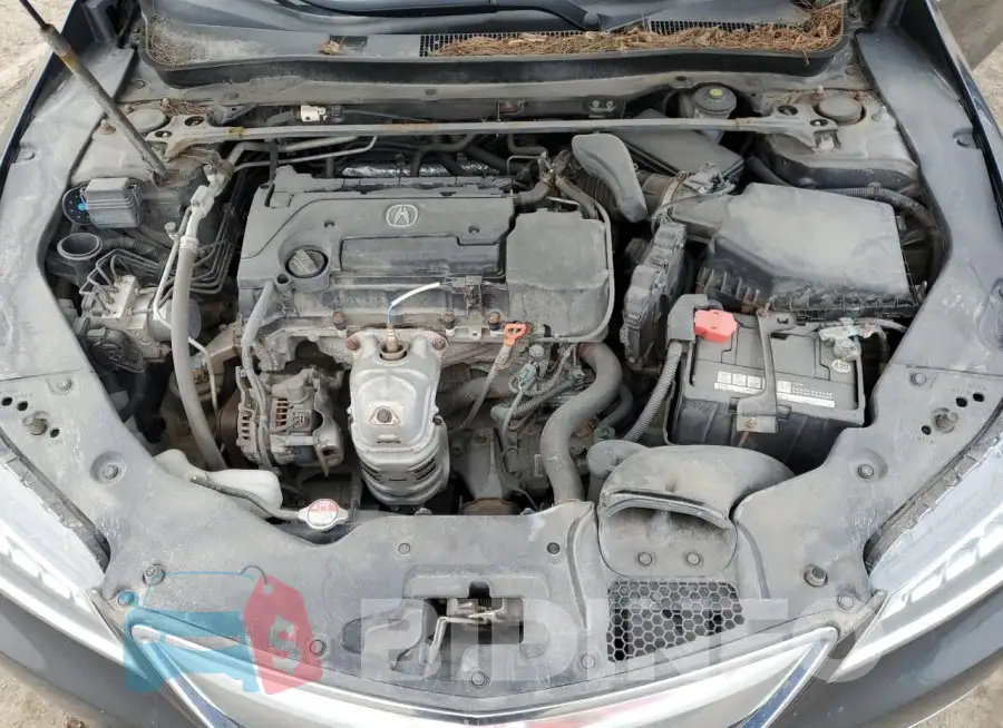 19UUB1F32FA801813 Photo# 11