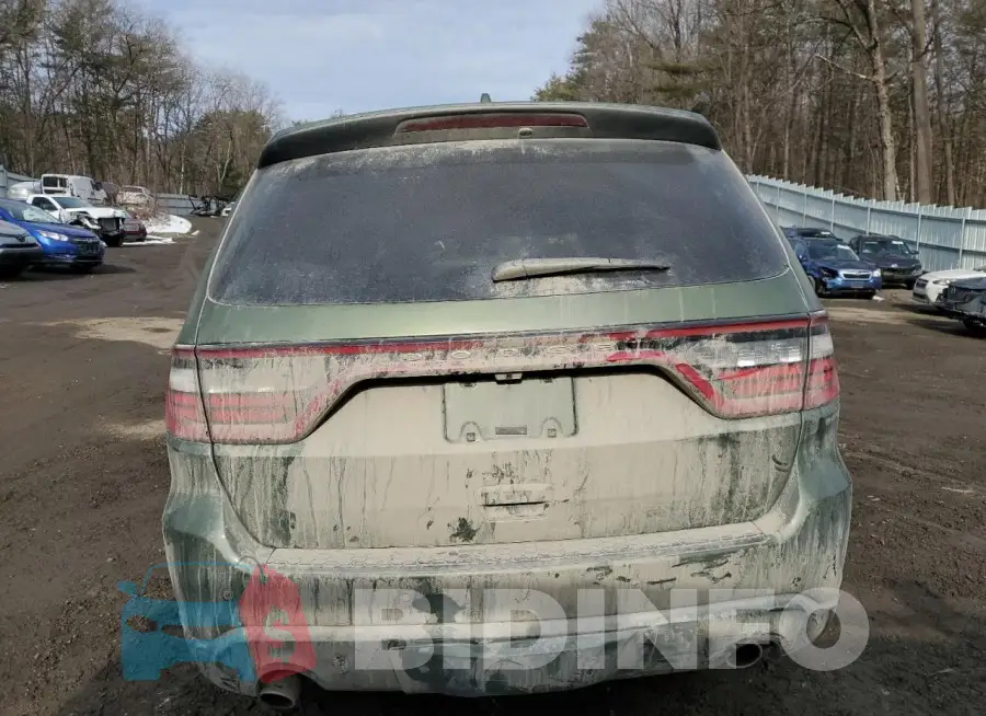 1C4SDJCT4MC815217 Photo# 6