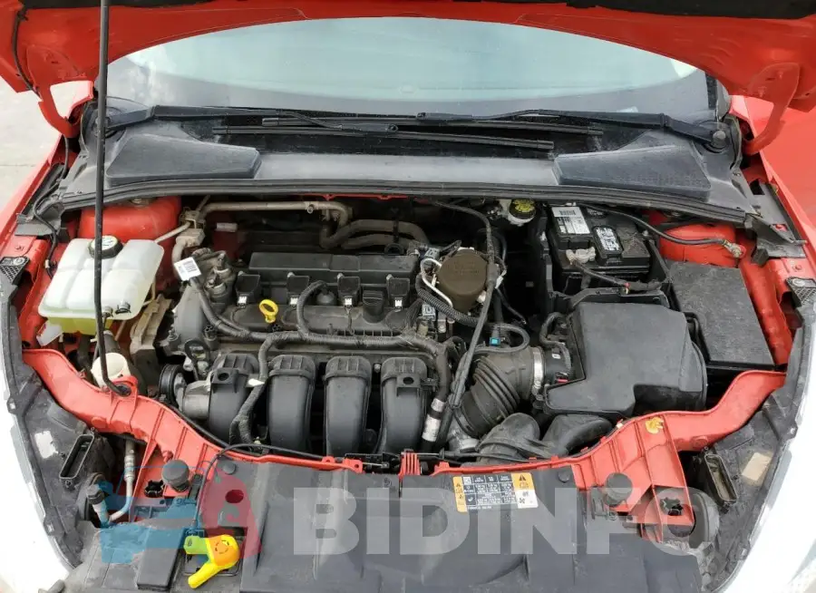 1FADP3F22GL281854 Photo# 11