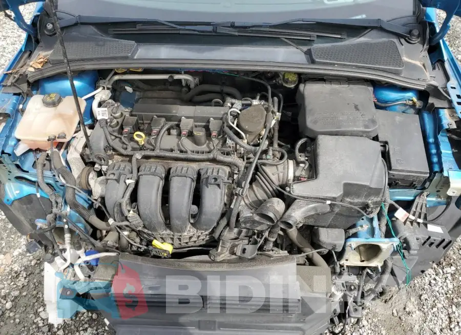 1FADP3F25FL229956 Photo# 11