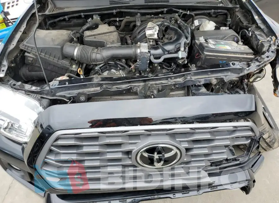 3TYCZ5AN8MT026895 Photo# 12