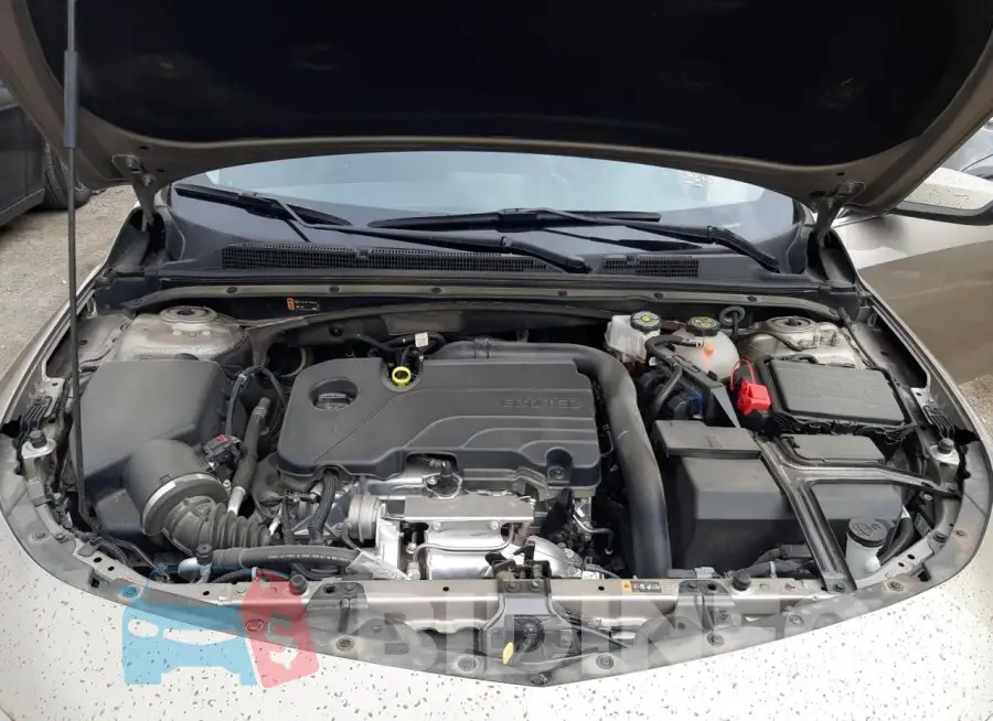 1G1ZD5ST3PF219616 Photo# 11