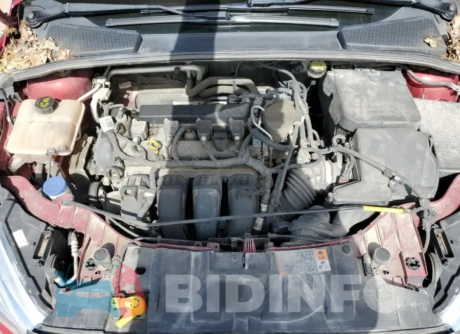 1FADP3F21GL265094 Photo# 11