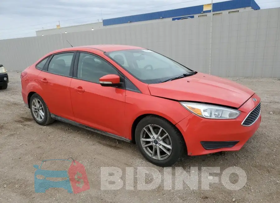 1FADP3F24GL258186 Photo# 4