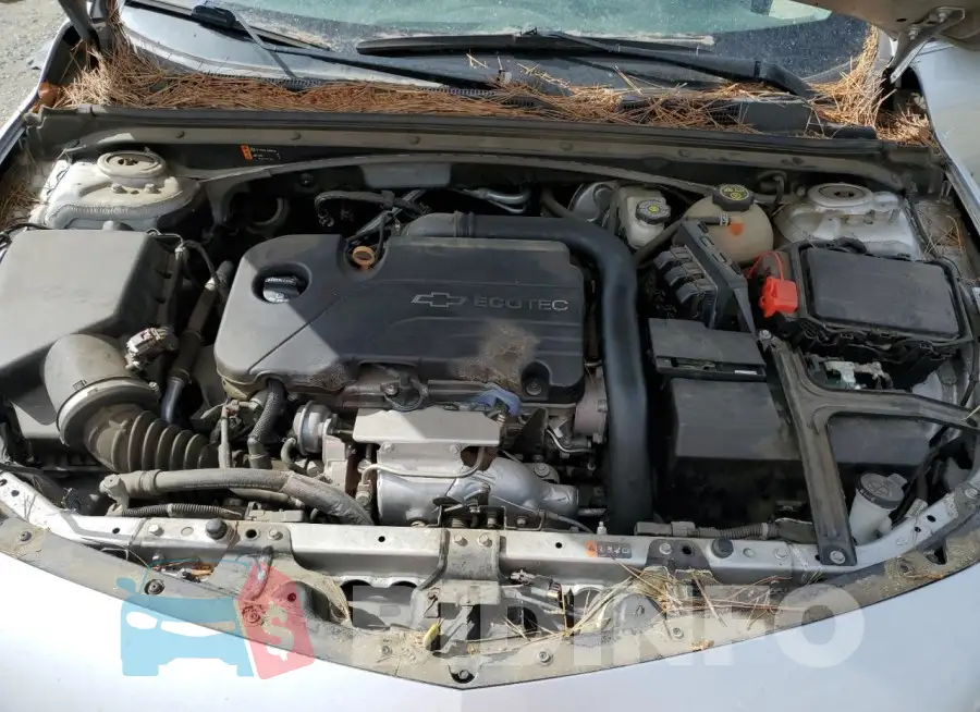 1G1ZB5ST0HF207334 Photo# 11