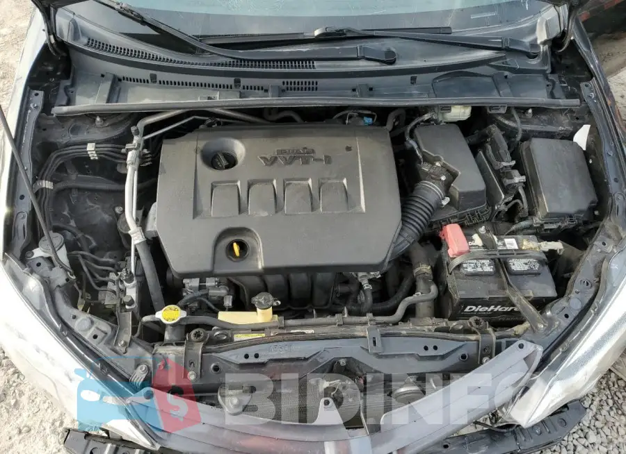 5YFBURHEXGP509062 Photo# 11