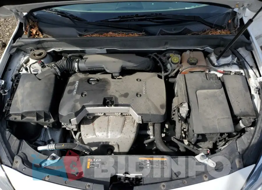 1G11B5SAXGF168584 Photo# 11