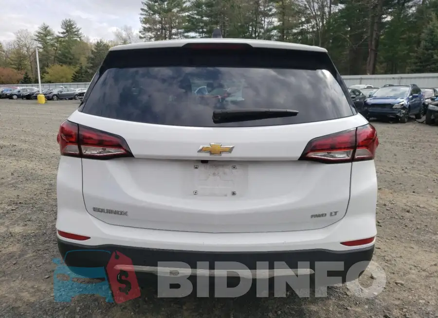 3GNAXTEVXNL181065 Photo# 6