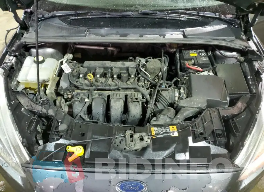1FADP3F26GL273725 Photo# 11