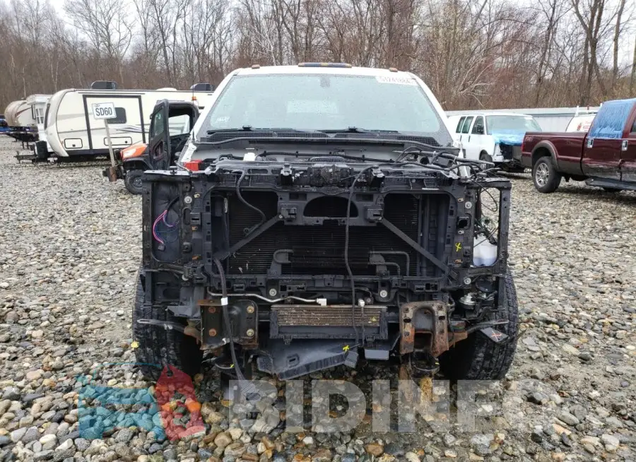 1GT02XEG2FZ557747 Photo# 5