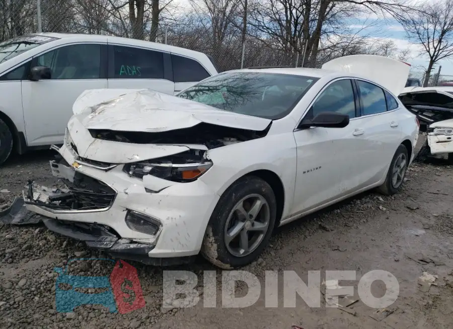 1G1ZB5STXGF269838 Photo# 1
